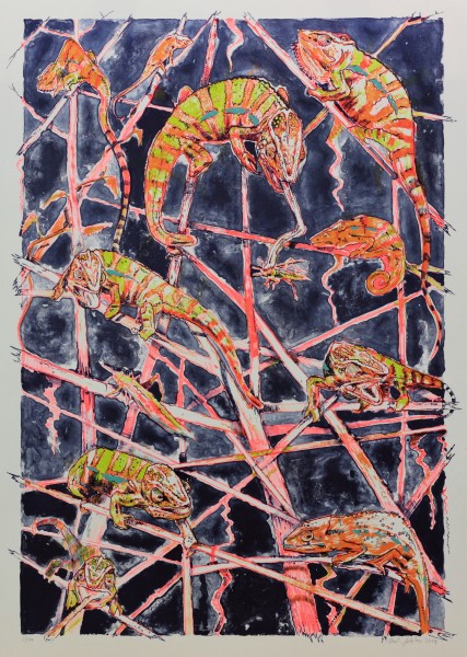 Chameleoni II. 1/1 Chameleoni II.