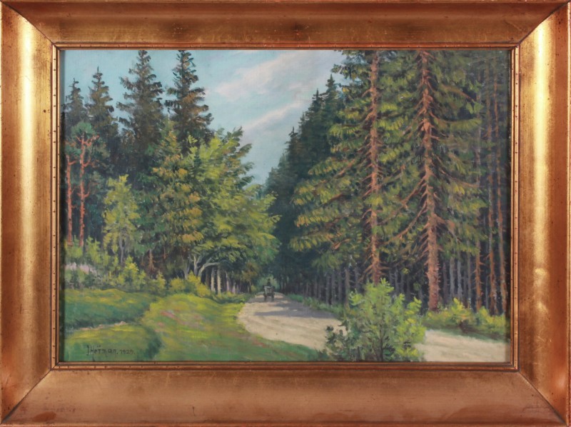 Lesní cesta 1/3 Lesní cesta