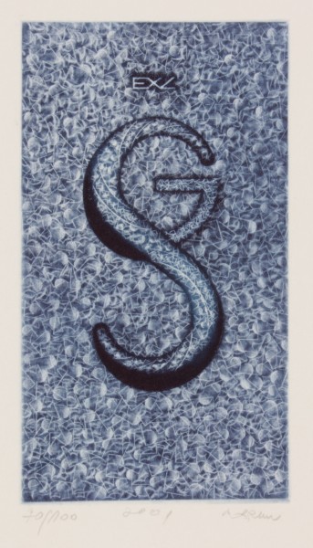 SG 1/1 SG