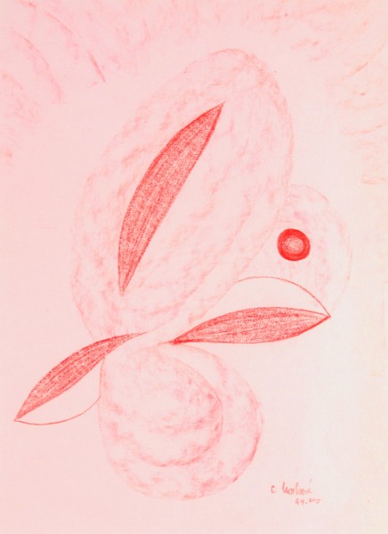 Květina VII