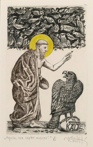 Aquila non captat muscas