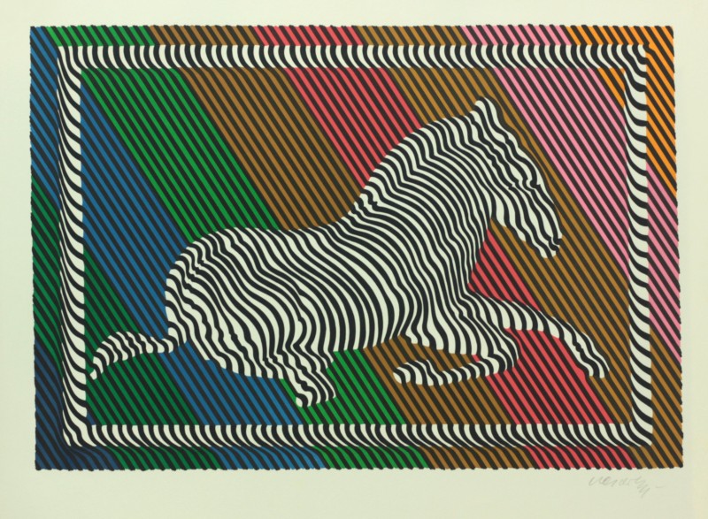 Zebra 1/1 Zebra