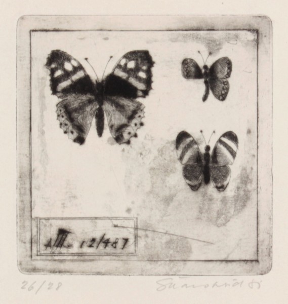 Motýli 1/1 Motýli