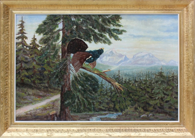 Tetřev 1/2 Tetřev